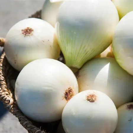 10 ingredients you should NEVER store in the refrigerator  