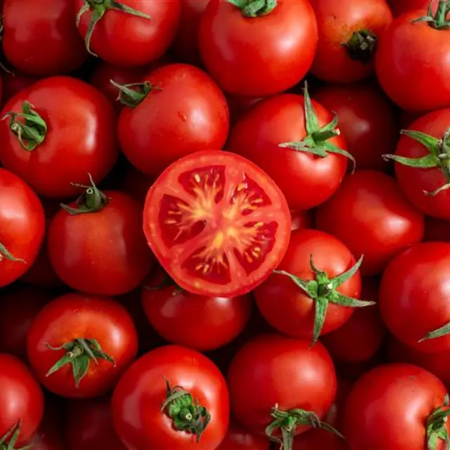 Tariff on Mexican Tomatoes: Will the Price Rise and Affect Your Wallet?