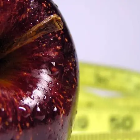 Tratamento Nutricional contra a Obesidade