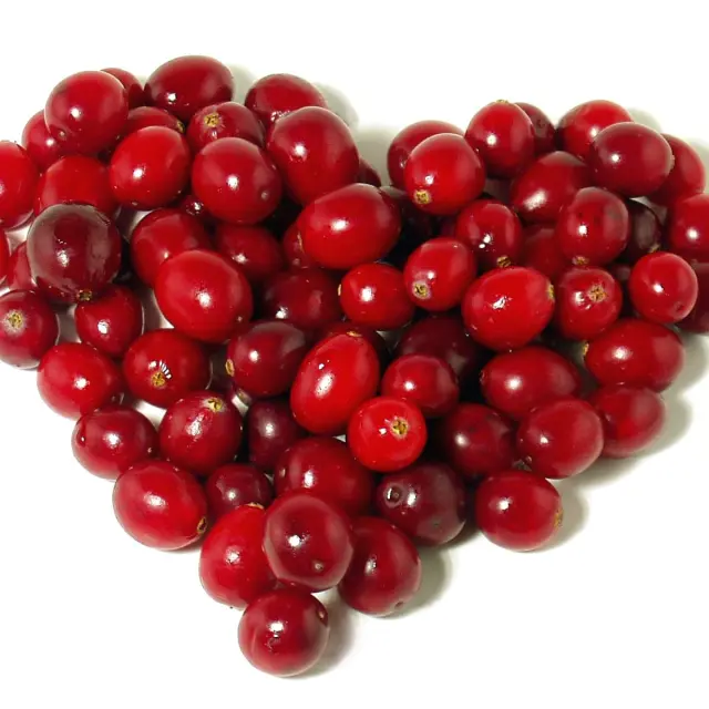 Learn to Reduce Cholesterol