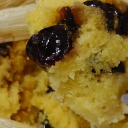 How to prepare tamales?
