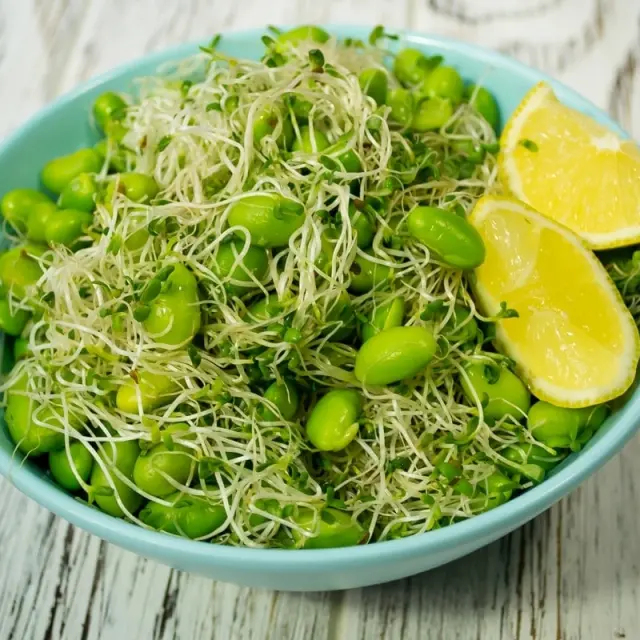 Cook Healthy with These Tips
