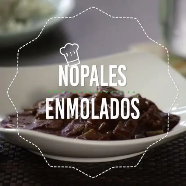 Vídeo de Nopais Em Molho