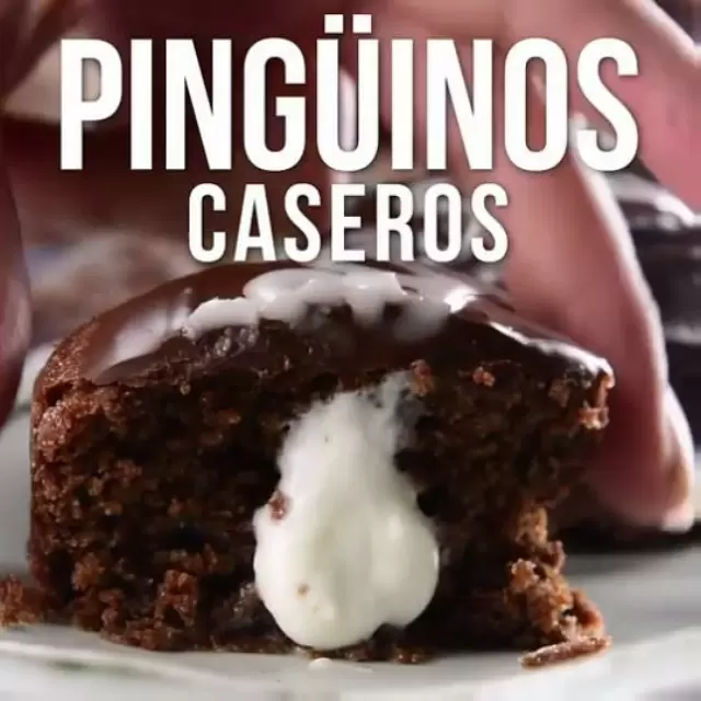 Pingüinos Caseros