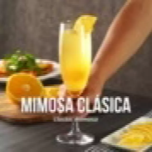 Cocktail De álcool Mimosa Com Sumo De Laranja E Champanhe Seco Frio Ou  Vinho Espumante Em óculos, Fundo De Balcão De Barras Cinza Imagem de Stock  - Imagem de grupo, cocktails: 160879515