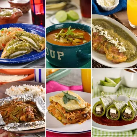 Receitas com Nopales