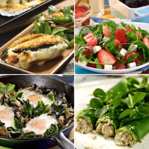 Recipes with Spinach