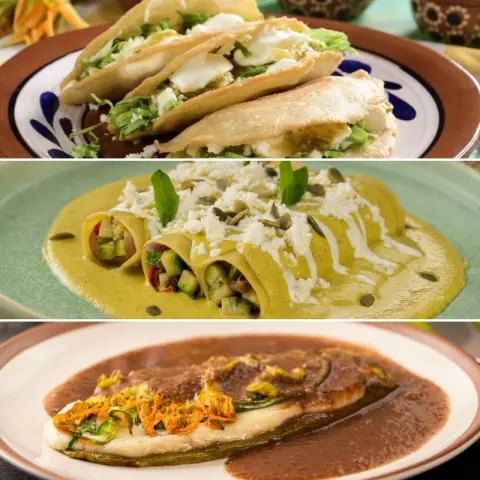 Receitas fáceis com flor de abobrinha