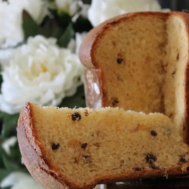 Christmas Panettone with Chocolate Chips