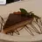 Torta de Três Chocolates