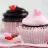 Creamy Cupcakes with Chocolate Chunks