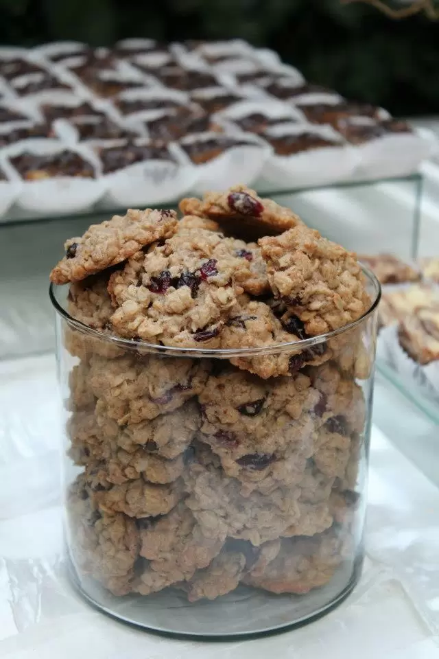 Galletas de Avena con Arándanos Deshidratados