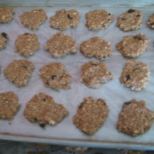 Galletas de Avena con Linaza