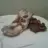 Chocolate-Covered Bacon