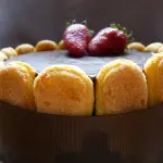 gelatinas