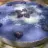 Violet Cake