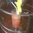Bloody Mary Tradicional