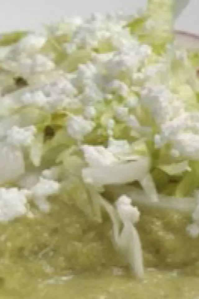 Enchiladas Verdes con Pollo
