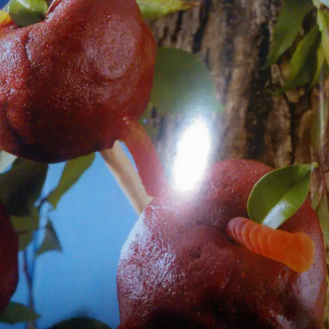Apples with Spicy Chamoy and Gummy Worms