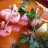 Shrimp in Broth with Guajillo Chile