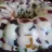 Easy Mosaic Gelatin  
