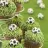 Soccer Cupcakes