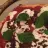Tuna and Mozzarella Cheese Pizza