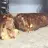 Baked Meat Roll