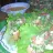 Tacos de Peixe com Salada de Surimi e Camarão