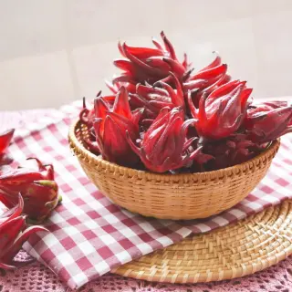 Hibiscus Meat