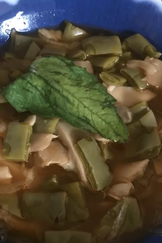 Sopa de Nopalitos con Hongos Zeta