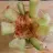 Pepino com Hummus de Grão-de-bico