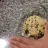 Chocolate Chip Cookie