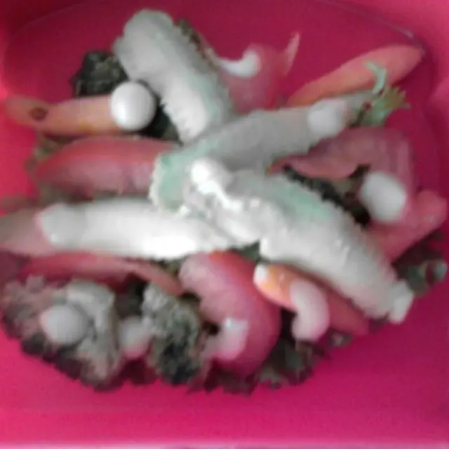 Salada de almoço