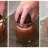 Cupcakes HI-HAT