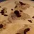 Chicken in Walnut Sauce and Blueberries