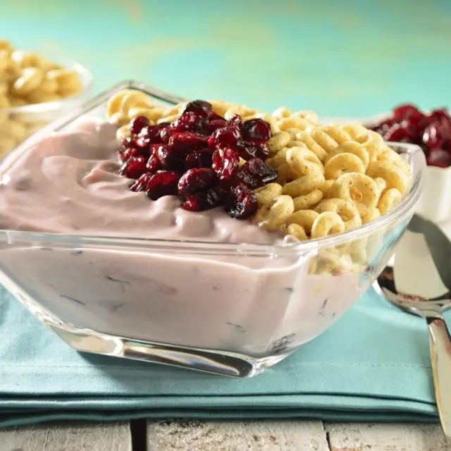 Tigela de Cereal com Iogurte e Mirtilos