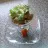 Ceviche Tropical
