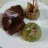 Pernil de Porco em BBQ com Chipotle