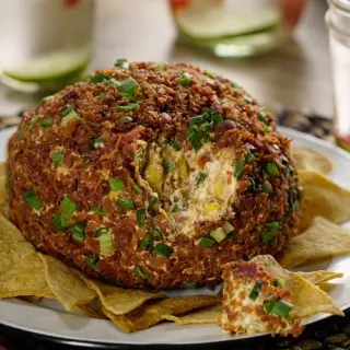 Bacon and BBQ Cheese Dip