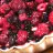 Cheesecake with Red Fruits