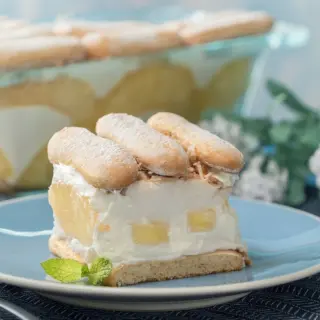 Yoghurt Desserts