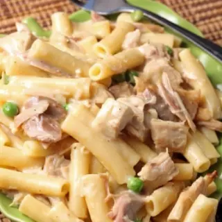 Pasta Alfredo with Turkey