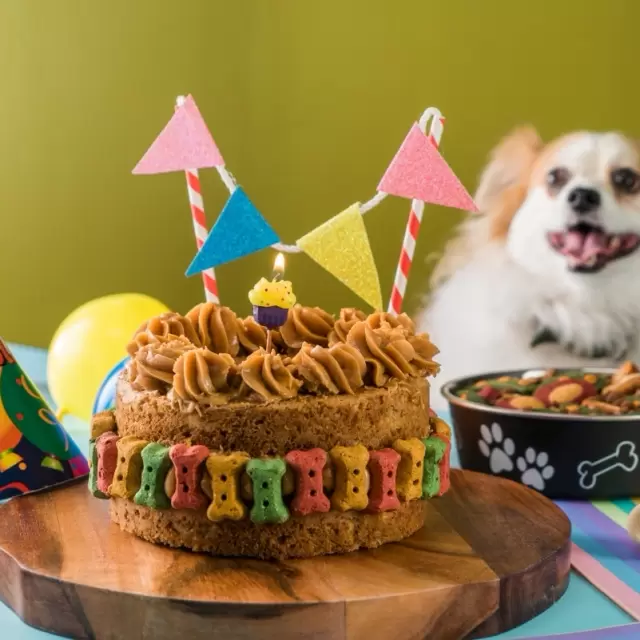 Pastel de Cumpleaños para Perro