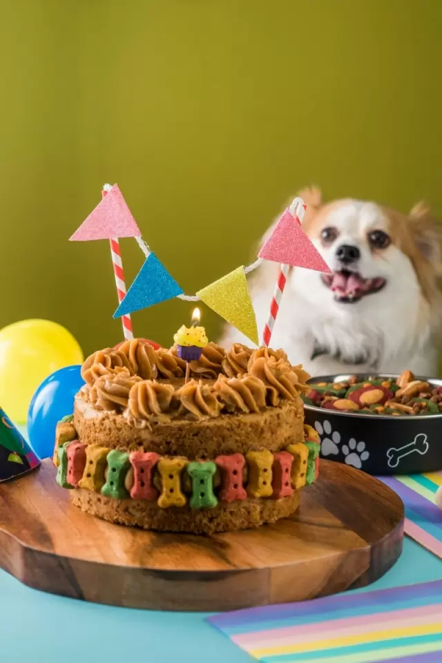 Pastel de Cumpleaños para Perro