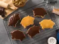 チョコレートでコーティングされたパイロンシージョの豚