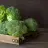 Steak with Broccoli Cream and Vegetables