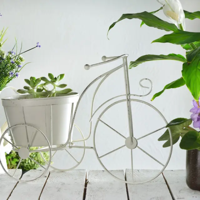 Radiant plants and shiny leaves in 5 steps