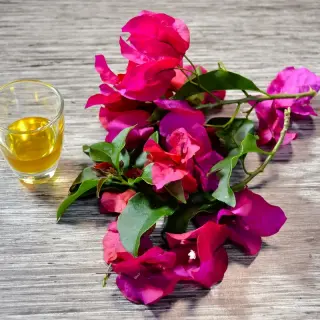How to make a natural remedy for cough with bougainvillea
